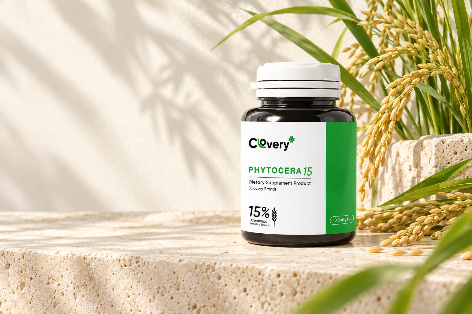 PHYTOCERA15